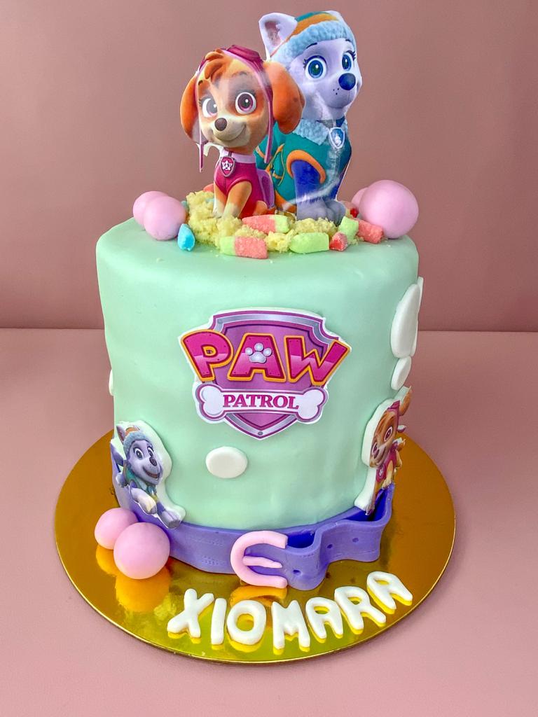 Paw patrol girl
